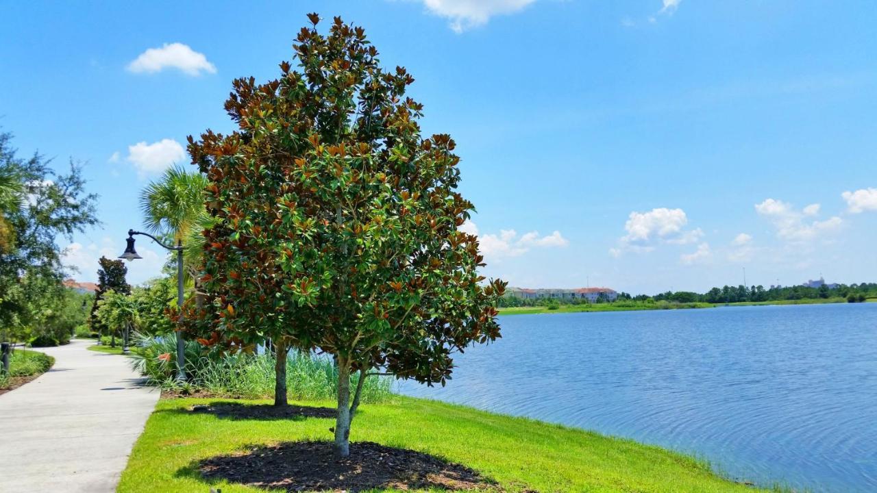 Ground-Floor Condo Next To Vista Cay Clubhouse And Pool! Orlando Eksteriør bilde